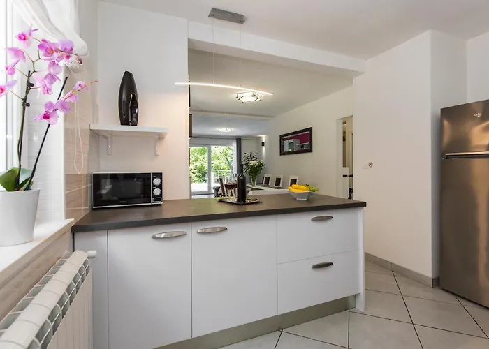 Villa Rea Labin (Istria)